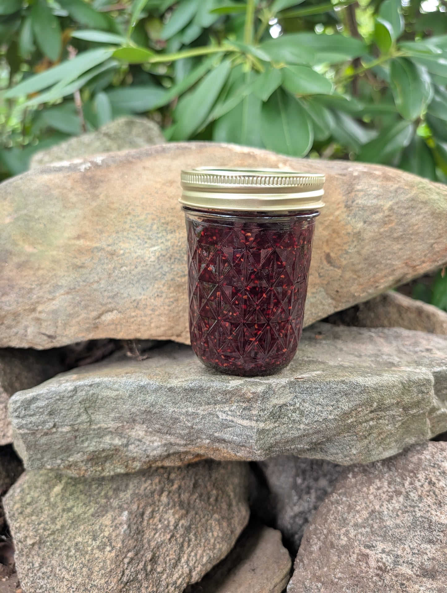 Raspberry Jam