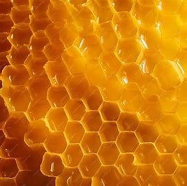 Beeswax textiles